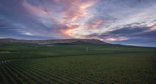 Grand Ciel Vineyard, Red Mountain