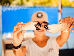 South Beach Seafood Festival Returns with a Bigger Culinary Playbook for 2026