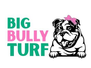 Big Bully Turf