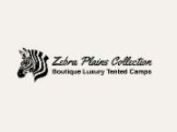Zebra Plains Collection