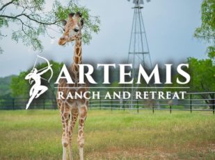 Artemis Ranch & Retreat