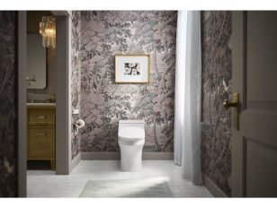 Kohler Dual-Wand Bidet Toilet Seat - Innovative Front and Rear Wands Geared Toward Women's Health