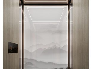 Compact Size, High Standards: New Otis Gen3&trade; Villa Homelift Elevates Everyday Living