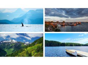 WestJet announces four new flights and enhanced east-west connectivity for summer 2026