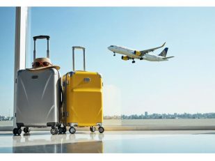 Navigating the Logistics of Liability in a Massive Transit Hub