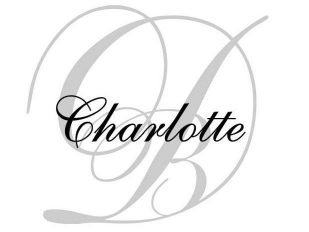 Le Diner en Blanc - Charlotte