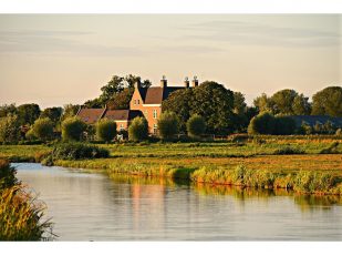 Water Transfer Pumps Buying Guide for Rural Properties in 2026