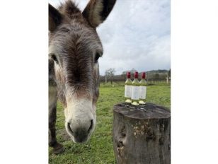 Nationally Recognized Donkey Rescue Launches Estate-Grown Organic Wine from Vineyard Unexpectedly
