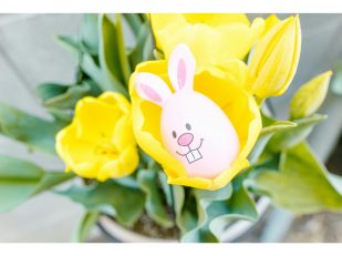 Creative Ideas for Easter Flower Arrangements