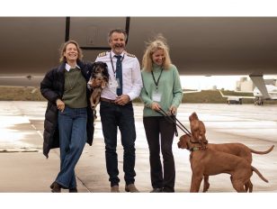 Vicuna Air - A New Model for International Pet Travel 'In Cabin'