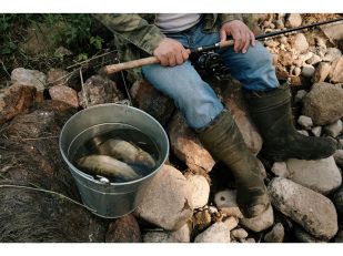 8 Best Lake Erie Fishing Charters for Walleye, Perch & More [2026]