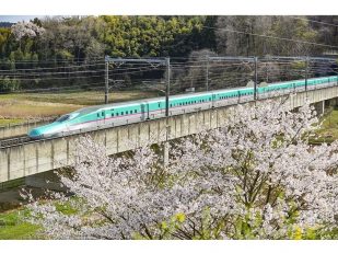 Explore More of Japan: Expanded JR EAST PASS Opens Access to the Underexplored Tohoku Region