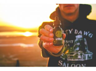 The Rise of Modern Vaporizers: Why More Consumers Are Choosing Smoke-Free Alternatives