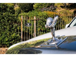 Le Rossignol: a refuge for creativity