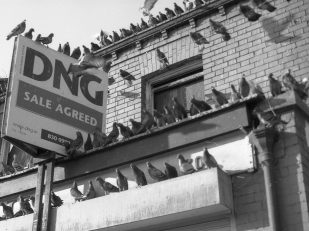 4 Essential Tips to Buy Your First Home Without the Stress