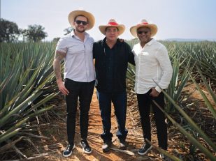 Mission Craft Cocktails Announces Exclusive Supply Agreement with Distillery in Heart of Jalisco, MX