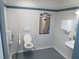 Think You Can Fix That Blocked Toilet in Essex? Read This First