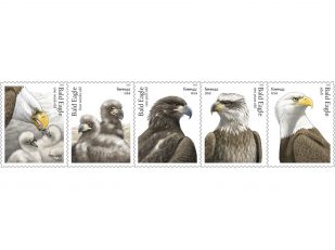 USPS To Release Stamps Honoring National Bird