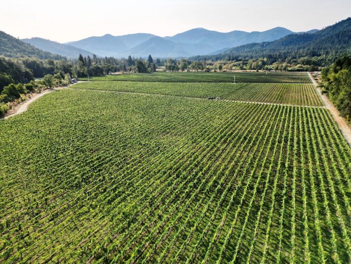 FarmTogether Sustainable Farmland Fund Delivers Third Consecutive Year of Benchmark Outperformance
