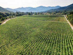 FarmTogether Sustainable Farmland Fund Delivers Third Consecutive Year of Benchmark Outperformance