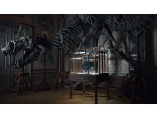 VML: World's first T-Rex leather product unveiled - a luxury handbag designed by Enfin Lev&eacute;