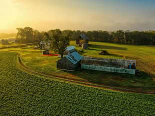 Best Practices for Farm Rehabilitation and Sustainable Land Management