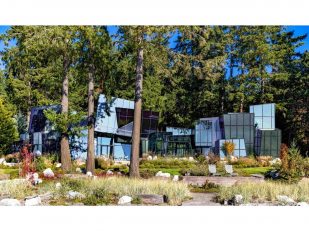 Pulp Studio Shatters Residential Design Expectations with F - House