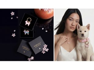 SHIBA & Co. Launches Sakura Limited Edition