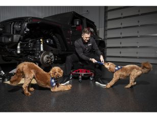 Introducing Mopaw From Mopar: Experts Equipping Four Paws and Four Wheels