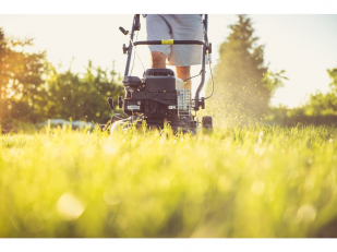 Smart Lawn Care Tips Every Homeowner Should Know