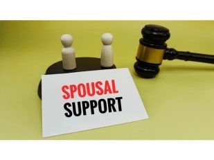 How Courts Determine Spousal Support for Wealthy Spouses