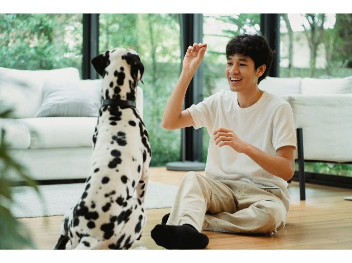 Consistency in Dog Training: The Key to a Well-Behaved Companion