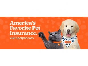 Spot Pet Insurance Releases 2026 "Pet Parent Perspective" Showing Vet Bills Now Influence Households