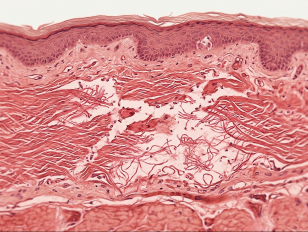 Advanced Regenerative Aesthetics and Wellness Treatments