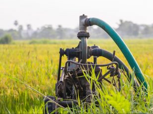 The Essential Guide to Sump Pumps: Types, Benefits, and Maintenance Tips
