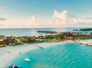 The Rise of Adults-Focused Travel and Why It Is Growing