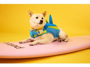 Petco Unveils Summer Collection Packed with New, Exclusive Must-Haves to Keep Pets and their Humans