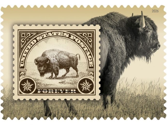 American Bison Stamps Issued
