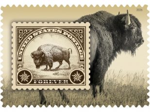 American Bison Stamps Issued