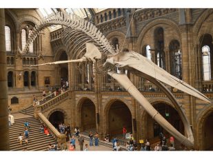 The Top 7 Family-Friendly Museums in Boston for 2026