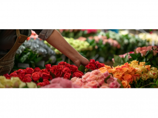 Miami Residents: Key Considerations When Ordering Roses for Delivery