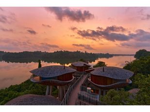 Grand Opening of Mandai Rainforest Resort by Banyan Tree