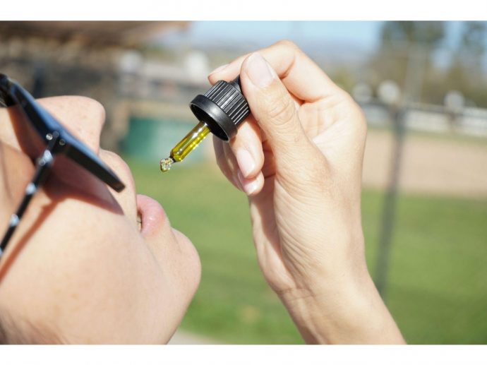 5 Best CBD Wellness Brands for Families With Pets Seeking Premium Products