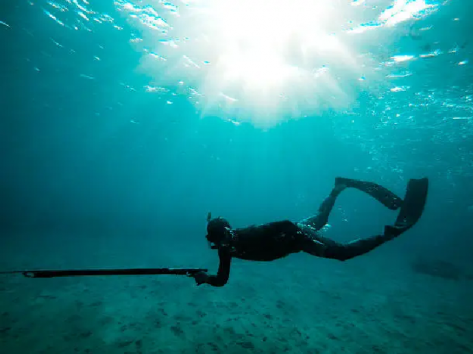 How to Prepare for Your First Underwater Hunter Course