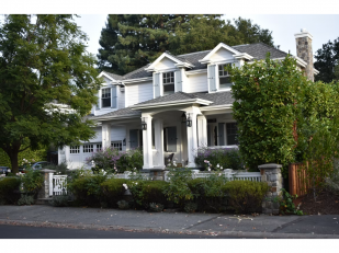 Elevating Estate Aesthetics Through Expert Tree Care