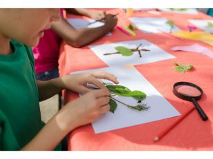 Dream Art Studio Summer Art Camp for Creative Kids