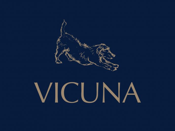 Vicuna Air expands In-Cabin Pet Flights to Amsterdam, Frankfurt, and Brussels