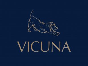 Vicuna Air expands In-Cabin Pet Flights to Amsterdam, Frankfurt, and Brussels