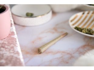 Why Luxury Consumers Are Embracing Cannabis-Inspired Experiences