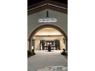 Discover Effective Autism Treatment at Go Behavioral LLC with Dr. Deena Moustafa in Azalea Park, FL